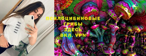 индика Абдулино